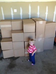 boxesandabug